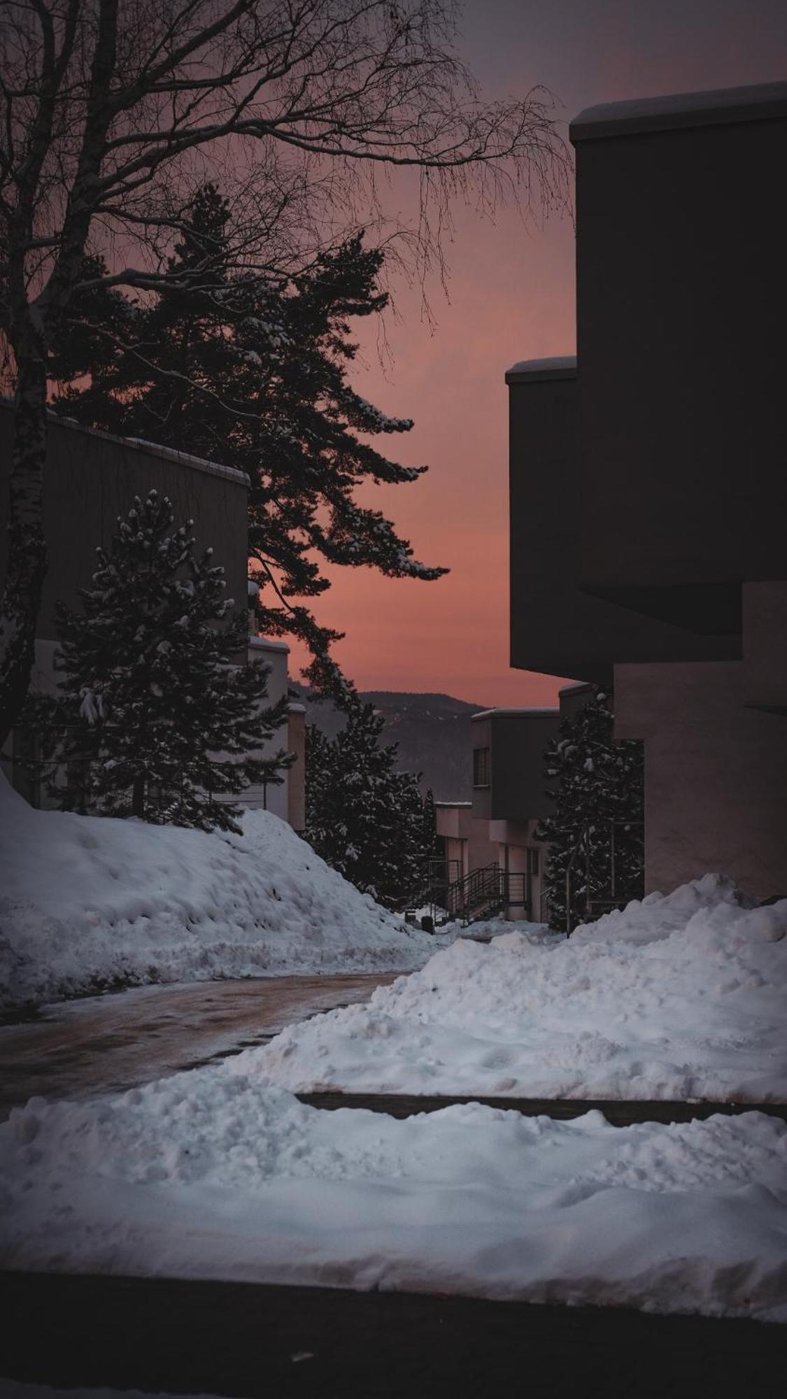 Apartmán Bosky Apartament Gródek Nad Dunajcem Exteriér fotografie